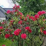 Skylo Вилла Винтерберг