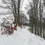 Вилла Skylo *