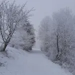 Skylo Вилла Винтерберг
