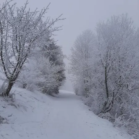 Skylo Vila Winterberg