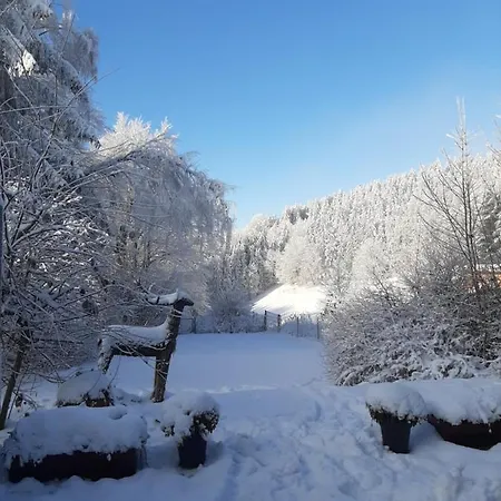 Villa Skylo Winterberg