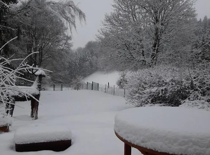 Willa Skylo Winterberg