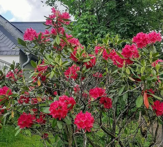 Skylo Willa Winterberg