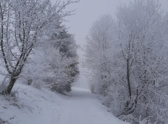 Skylo Villa Winterberg