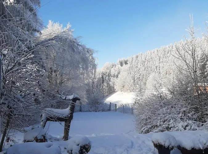 Willa Skylo Winterberg