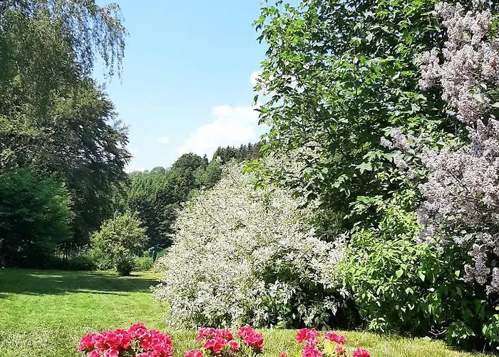 Skylo Willa Winterberg